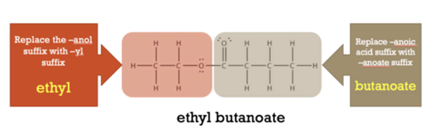 <p>split the alcohol and carboxylic acid (C=O) and name</p>