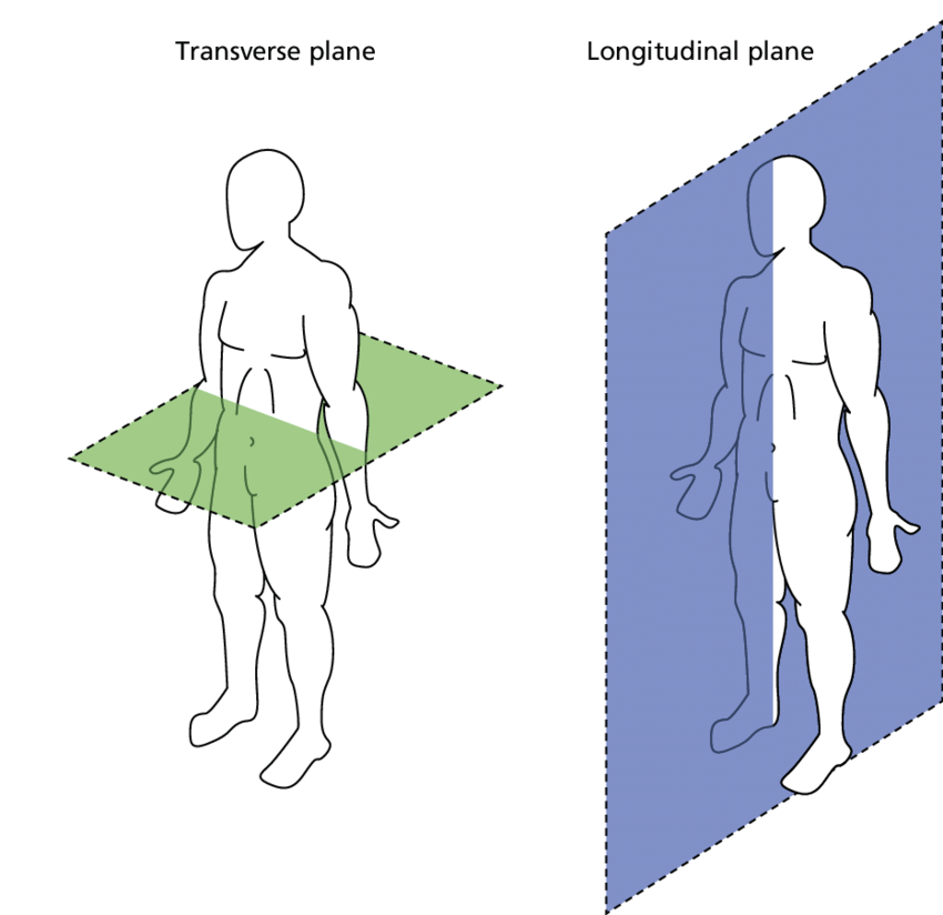 <p>Natural curve present in the lumbar spine designed for longitudinal loads</p>