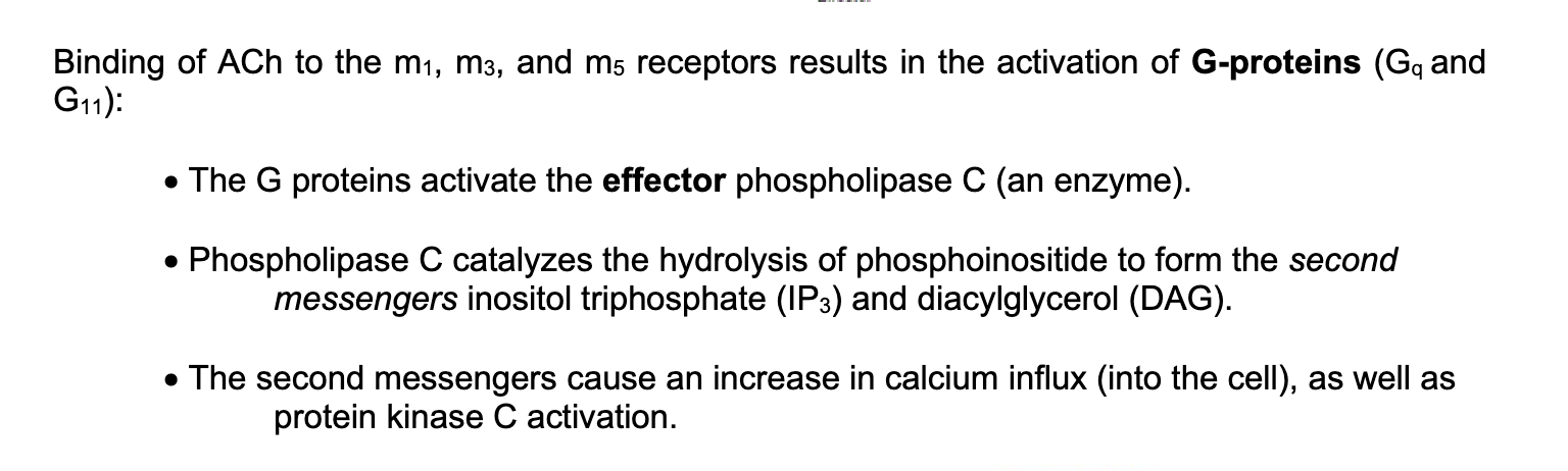 <p>story problem</p>