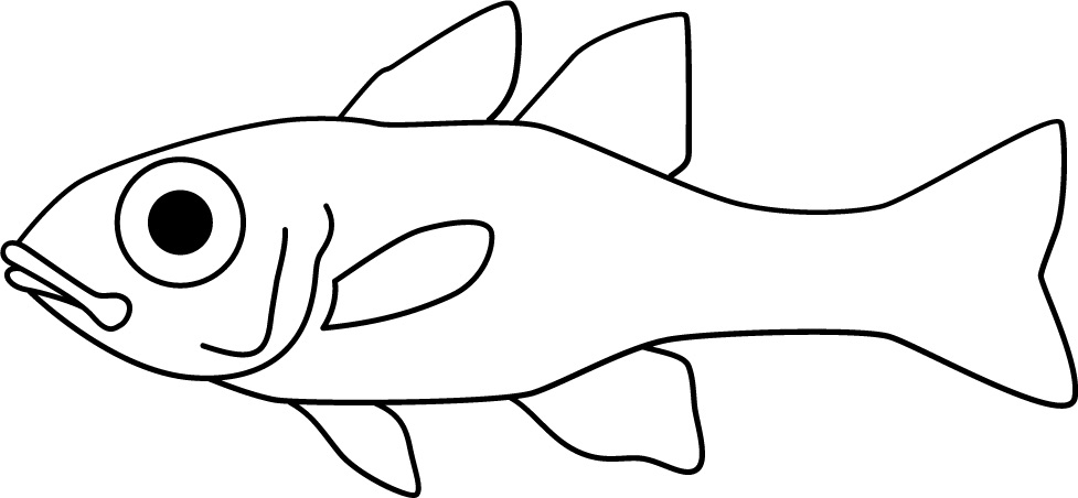 <p>Small body often with stripes<br>Symmetrical fins<br>Big eyes<br>Size: 5 cm</p>