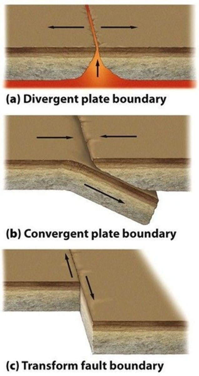<p>Plates move towards each other, leading to subduction.</p>