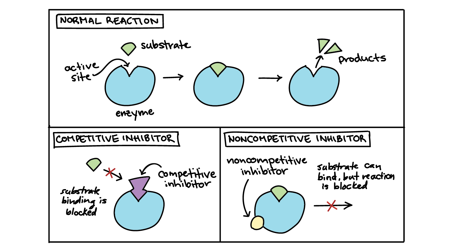 <p><span><span>the inhibitor doesn't block the substrate from binding to the active site. Instead, it attaches at another site and blocks the enzyme from doing its job. This inhibition is said to be "noncompetitive" because the inhibitor and substrate can both be bound at the same time.</span></span></p>
