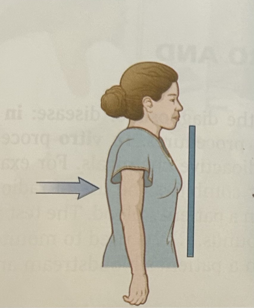 <p></p>