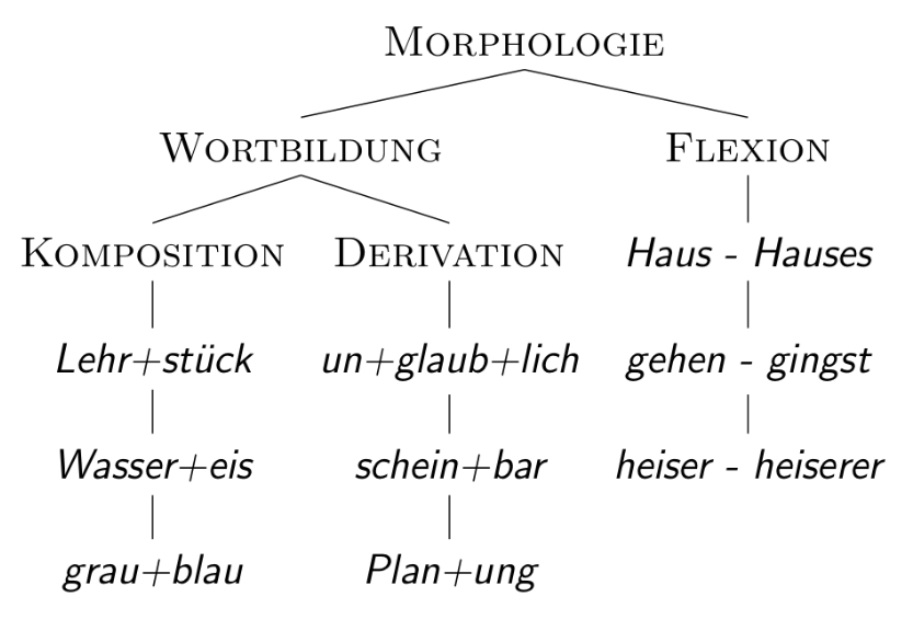 <p>Wortbildung (Komposition &amp; Derivation) &amp; Flexion</p>