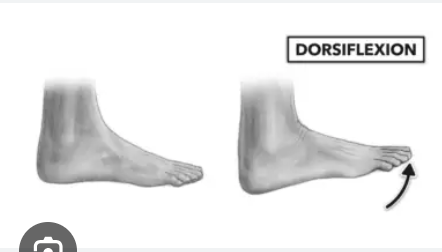 <p>standing on your heels </p>