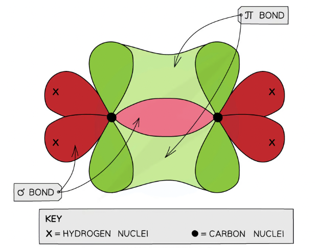 <p><span>carbon atoms use only three of their electron pairs to form a σ bond, each carbon atom will have a p orbital which contains </span><strong>one</strong><span> spare electron</span></p>