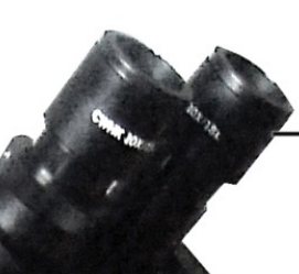 Ocular lens (eyepieces)