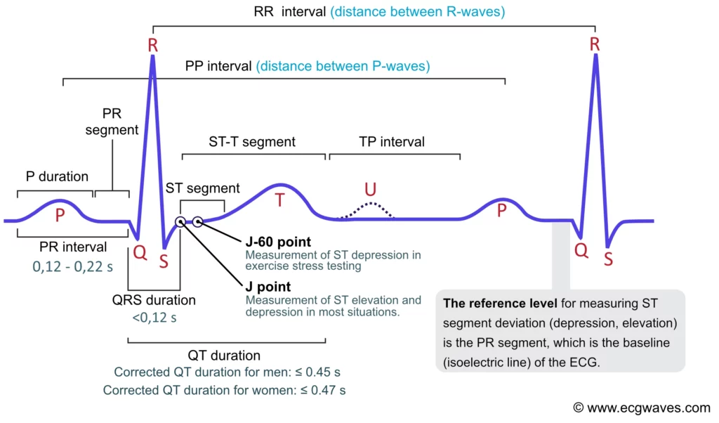 <p><strong>In Atrial Systole (2nd)</strong> - Contraction of the atria begins, so it’s starting the _ _____.</p>