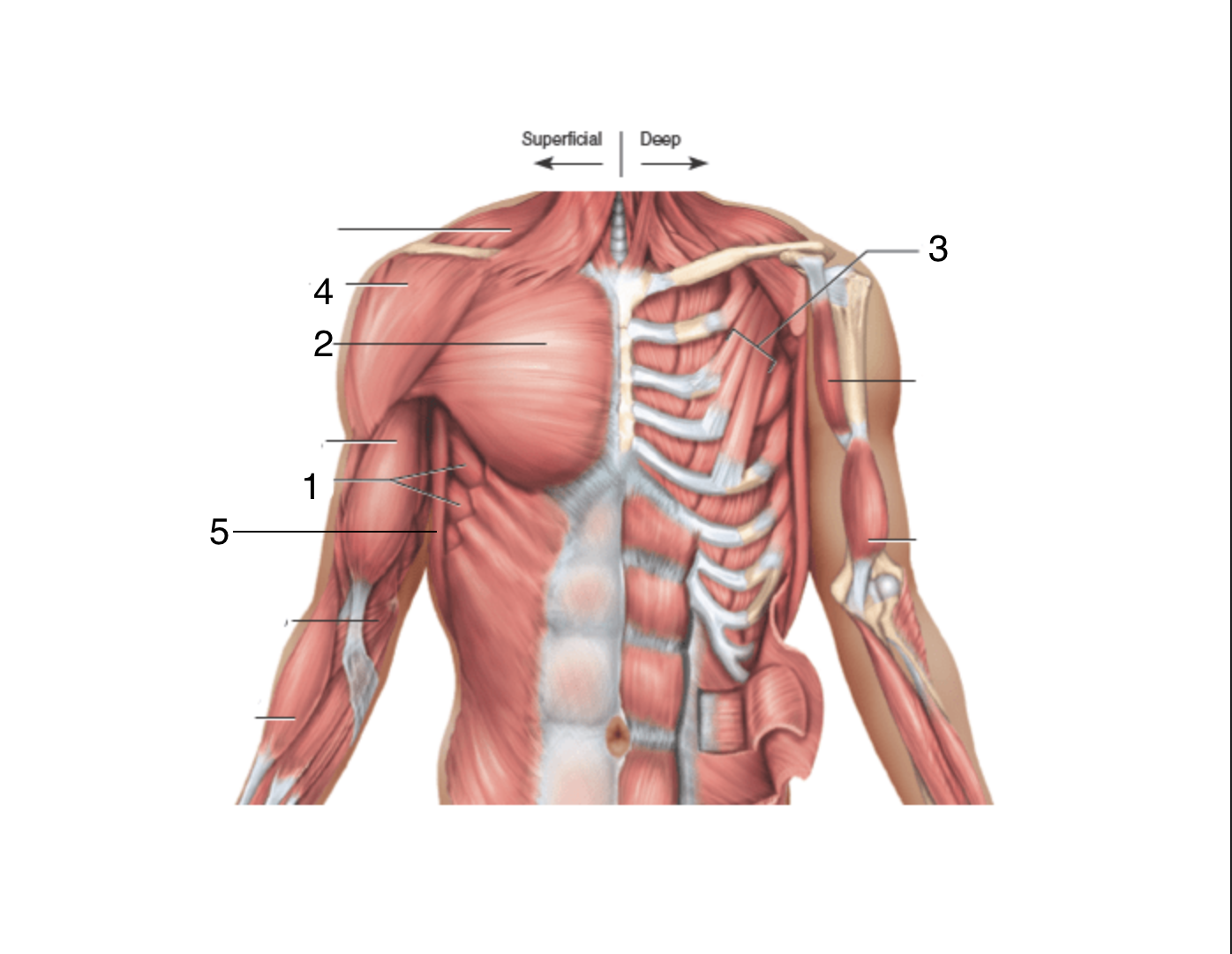 <p>2</p>