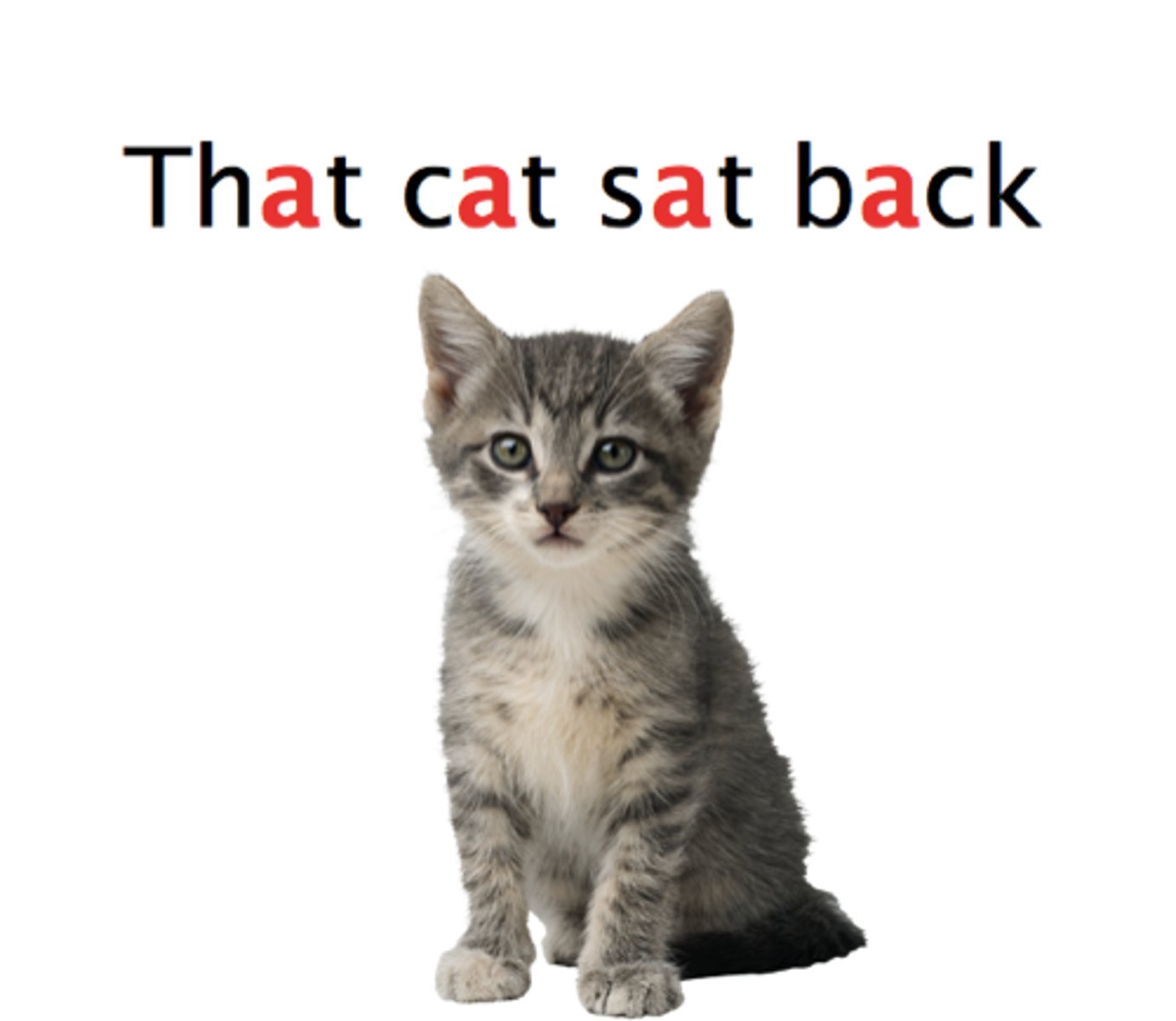 <p>The repetition of similar vowel (a,e, i,o,u) sounds in a sentence or line of poetry. (ex: zAch's hAt hAs a flAp)</p>