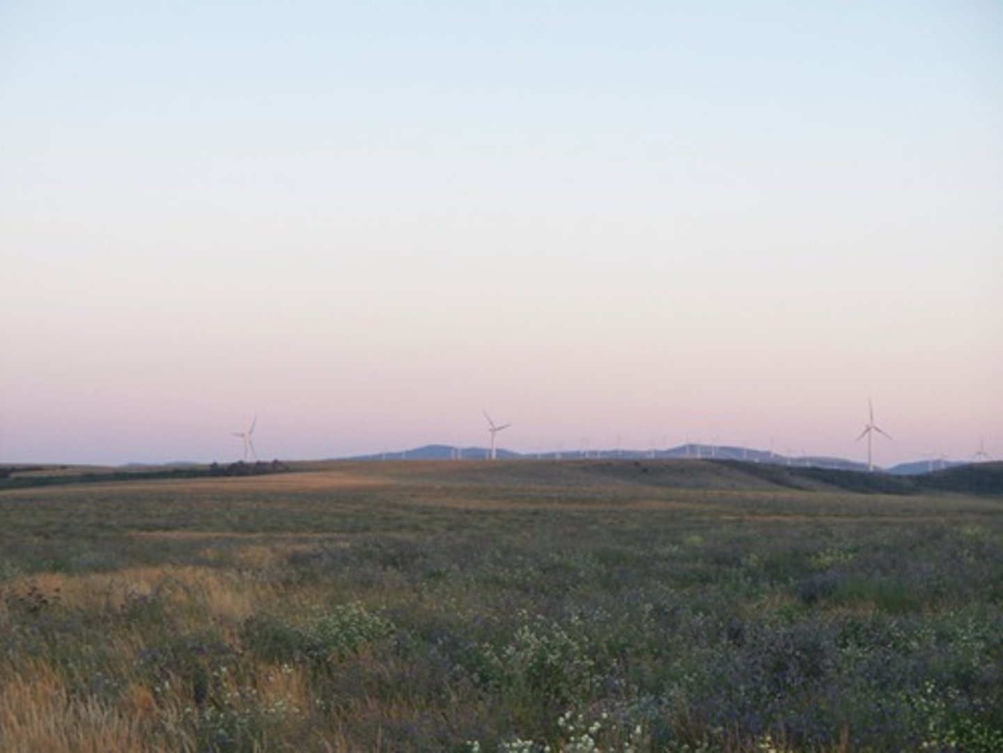 <p>Dry grasslands that stretched north of the Caucasus Mountains.</p>