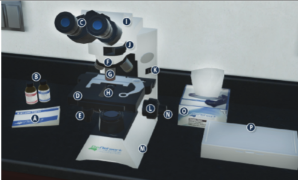 <p>There are 4. each has different magnifications. 4x (scanning lens) 10x (Low power lens) 40x (high power lens) 100x (Immersion lens)</p>