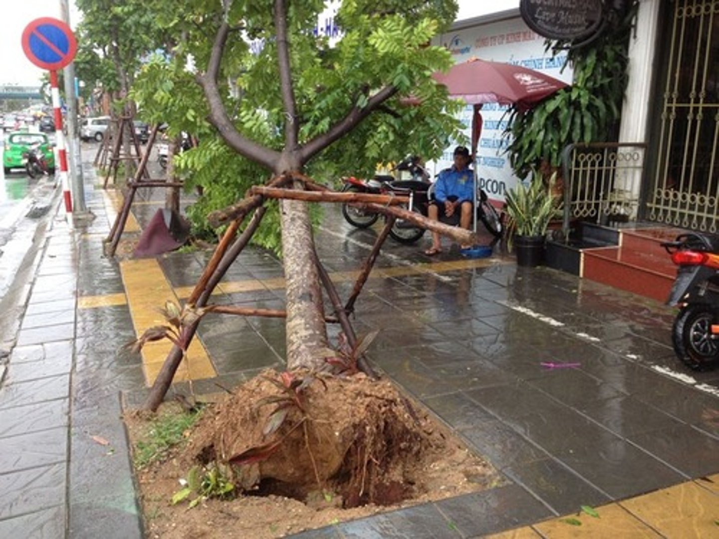 <p>/pʊl ʌp səm triːz/ • Verb phrase • B1 • To pull some tress out of the ground, to uproot trees • Bật gốc cây • The strong winds from the hurricane pulled up some trees from the ground, leaving a trail of destruction behind.</p>