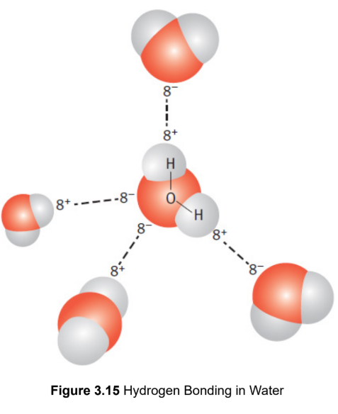 <p>specific, unusually strong form of dipole–dipole interaction; positively charged hydrogen atom interacts with the partial negative charge of fluorine, oxygen, or nitrogen on nearby molecules</p><p>ex. nitrogenous bases</p>