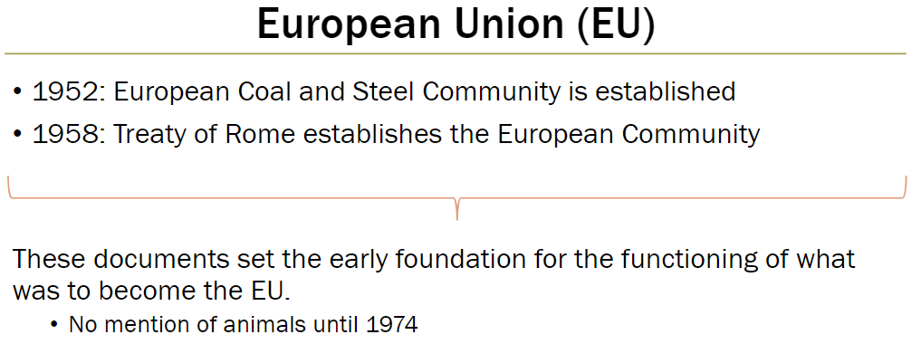<p><strong>Timeline</strong><br> 1952: European Coal and Steel Community established<br> 1958: Treaty of Rome establishes the European Community</p><p><strong>Significance</strong><br> Set the early foundation for what later became the European Union (EU)<br> No mention of animals in these founding documents until 1974</p>