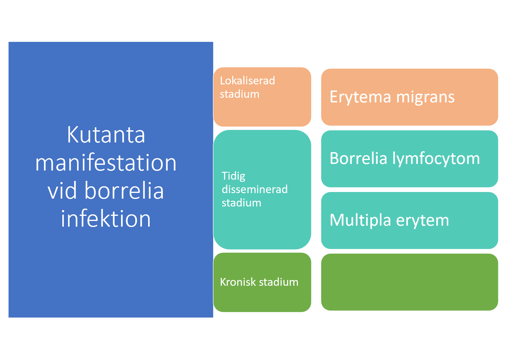 <p>När bakterierna sprids via blod och lymfsystemet. Här av vi två olika tillstånd:</p><ul><li><p>Borrelia lymfocytom: bakterierna triggar en lymfocytär infiltration → många lymfocyter → svullnad och rodnad</p></li><li><p>Multipla erytem: många erytema migrans. Man har fått fästingbett på ett ställe och några centimeter ifrån det får man ett till erytema migrans p.g.a spridning via blodet/lymfkärl, mycket sällsynt dock.</p></li></ul><p></p>