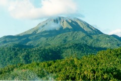 <p><span style="color: #000000">Is a 3,673-hectare (9,080-acre) protected area of rainforest.</span><span style="color: #000000"><br></span></p><p><span style="color: #000000">A protected area teeming with animal and plant species. The park is situated at the foot of Mount Bulusan, and the forest land that surrounds Mt. Bulusan was declared a National Park in 1935.</span></p>