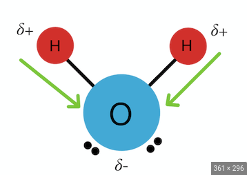 One side of the bond is positively charged, while the other side is negatively charged
