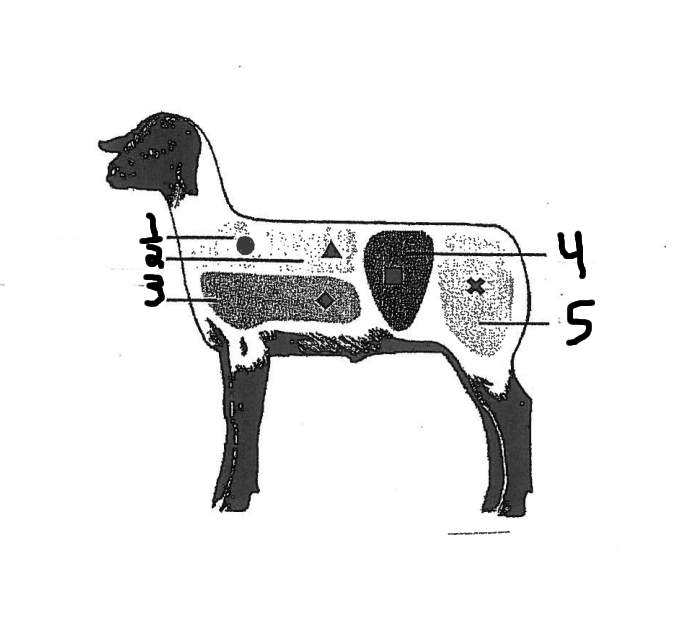 <p>2</p>