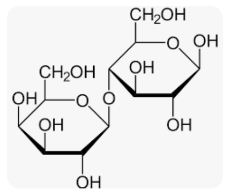 <ul><li><p>B(1—&gt;4)</p></li><li><p>Reducing sugar</p></li><li><p>Bond between Galactose and Glucose </p></li></ul><p></p>