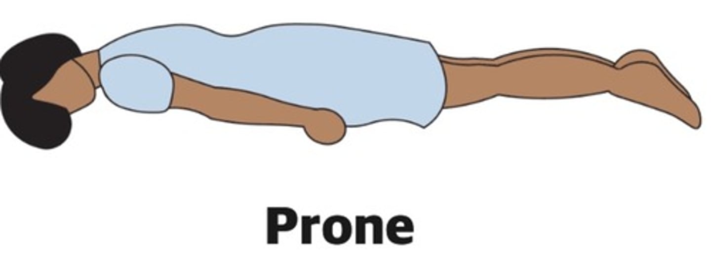 <p>Prone</p>