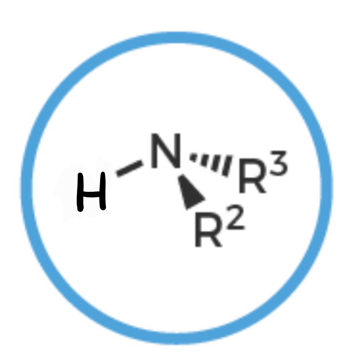 <p>Nitrogen with <strong>TWO Single Bonded R Groups</strong></p>