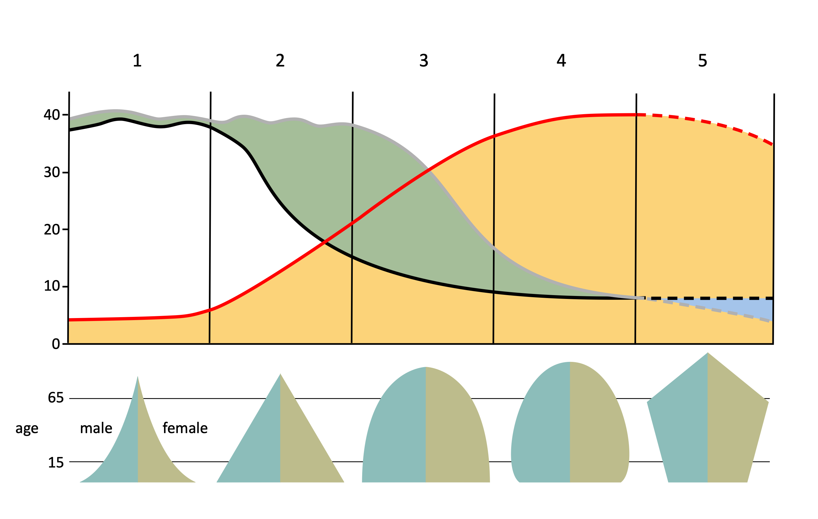 model that shows how CBR and CDR as well as resulting rate of natural increase (RNI) change over time as countries industrialize/urbanize
