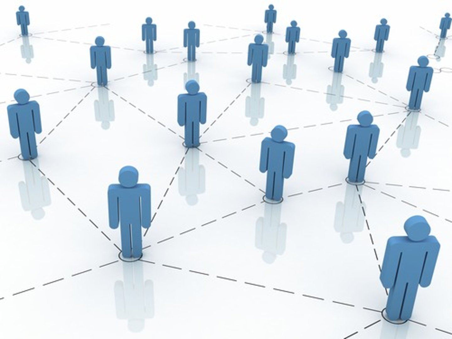 <p>a network</p>