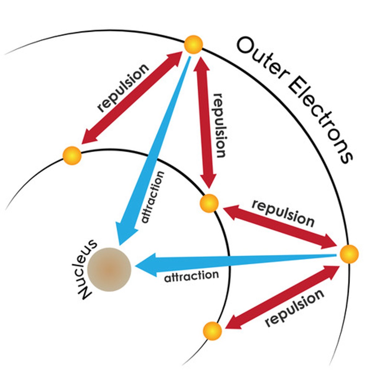 <p>the inner shells of an atom repel the outer shells the more inner shells there are the more repulsion there is reducing the attraction between nucleus and outer electron</p>