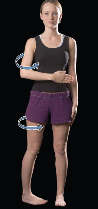 <p>medial (internal) rotation</p>