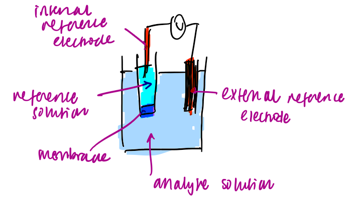 <ul><li><p>the 3 phases </p><ul><li><p>analyte solution </p></li><li><p>reference solution</p></li><li><p>membrane </p></li></ul></li><li><p>the target ion can go between all three </p></li></ul><p></p>