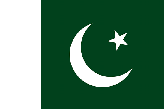 <p>Il ne vient pas </p><p>Je ne viens pas de France</p><p>I don’t come from France, I come from Pakistan.</p>