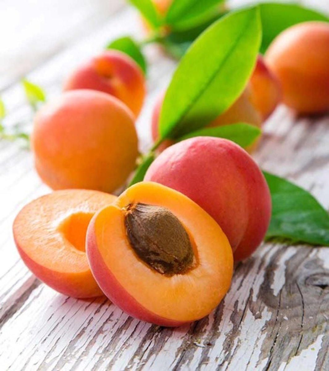 <p>apricot</p>