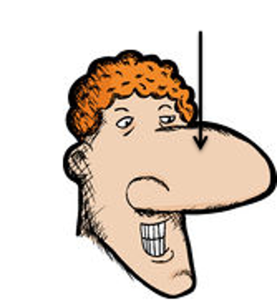 <p>the nose</p>
