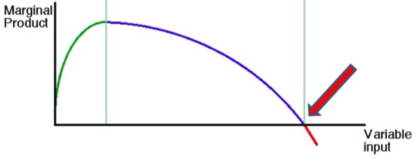 <p>Закон спадної віддачі</p>