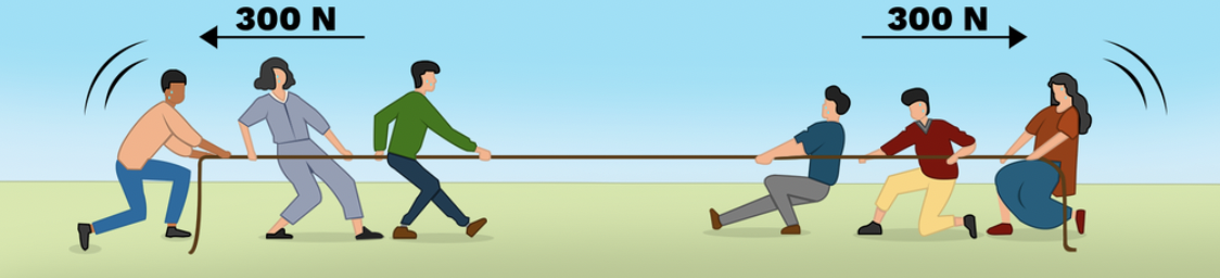 <p>Balanced forces</p>