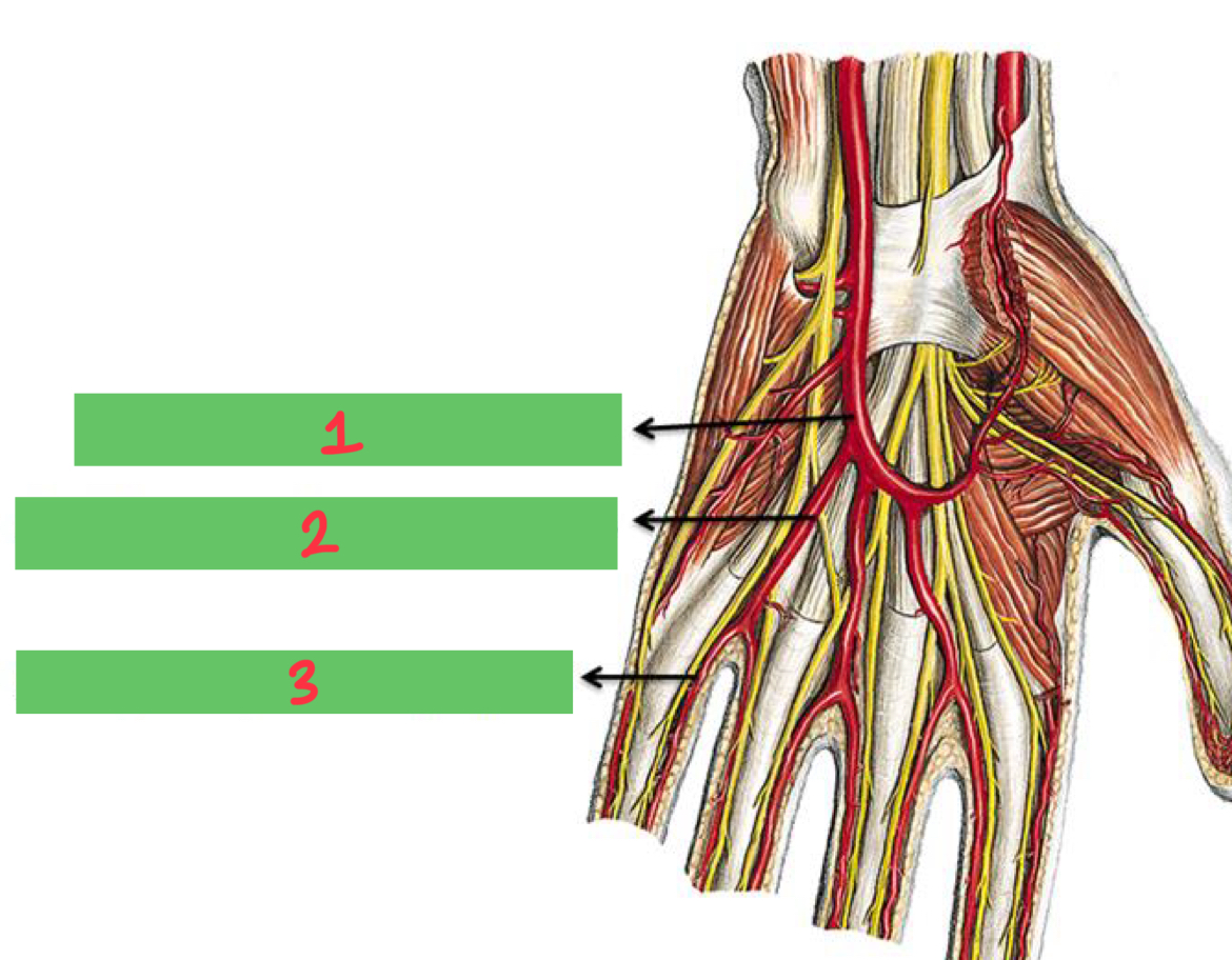 <p>2</p>