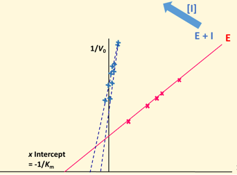 <p>Decresed Vmax, either increase or decrease Km</p>