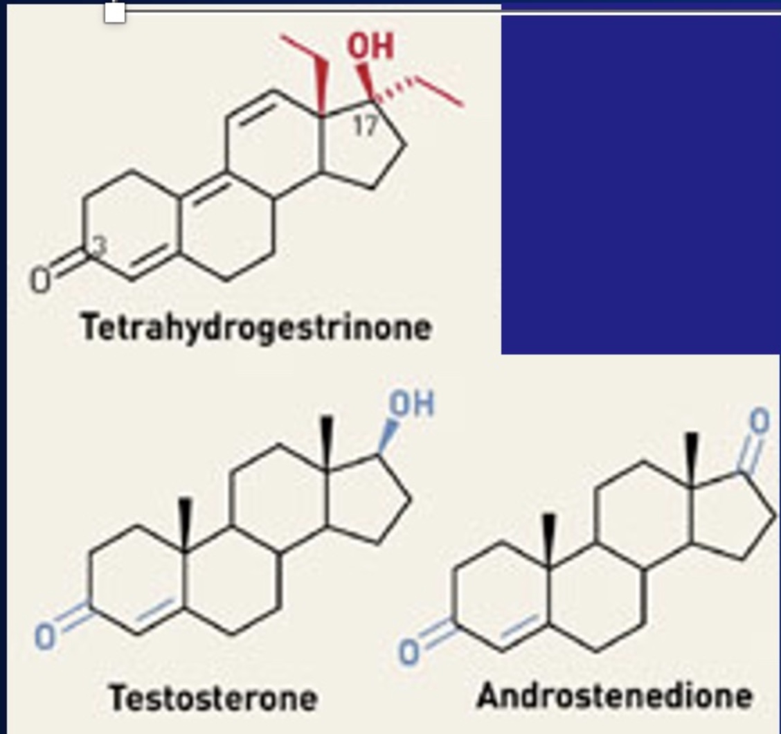 <p><span>-Balco founded in 1984, scandal in </span><strong><span>2004;&nbsp;</span></strong><span>Victor Conte was founder and president of BALCO</span></p><p><span>-US Anti-Doping Agency (USADA) says BALCO developed the banned steroid THG (tetrahydrogestrinone). Was undetectable until 2003 when a coach tipped off the USADA</span></p><p><u><span>What Blanco really did was add THG to supplements and call it nutritional; Did the athletes know?</span></u></p><p><span>-Tetrahydrogestrinone is a banned steroid which had been </span><strong><span>tweaked by chemists to make it undetectable by normal androgen tests.</span></strong></p><p><span>-don’t know if athletes knew</span></p><p><span>*testosterone based on chol; add methyl group to testosterone makes it undetectable</span></p>