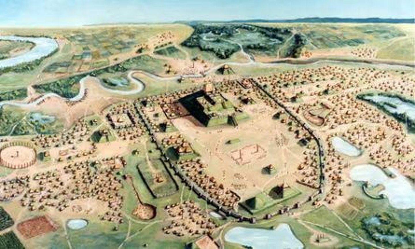 <p>Cahokia was the largest pre-Columbian Native American city north of Mexico which flourished between 700-1400 CE near modern day St. Louis.</p>