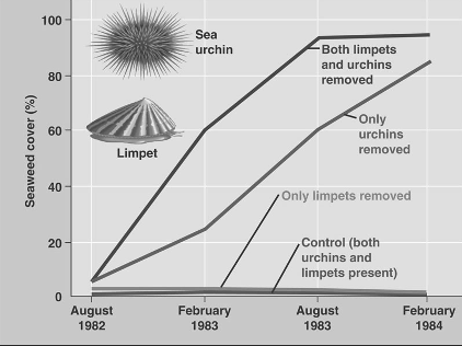 <p><span>The following shows the effects of various organisms on seaweed cover. Based on the data represented, the sea urchin is?</span></p>