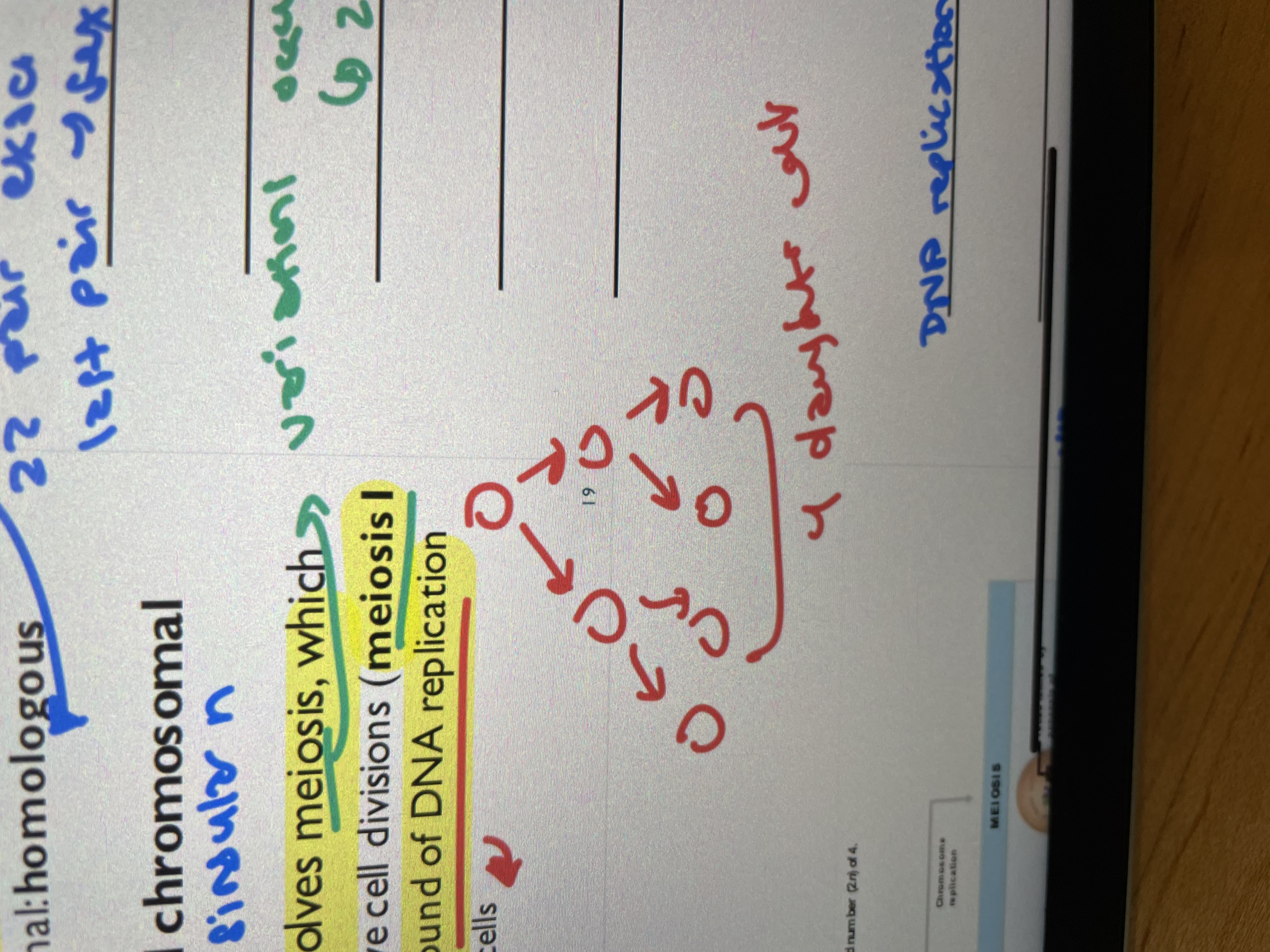 <p>Two consecutive cell divisions (meiosis 1 and meisosis 2) → only one round of DNA replication tho → produces 4 daughter cells </p>