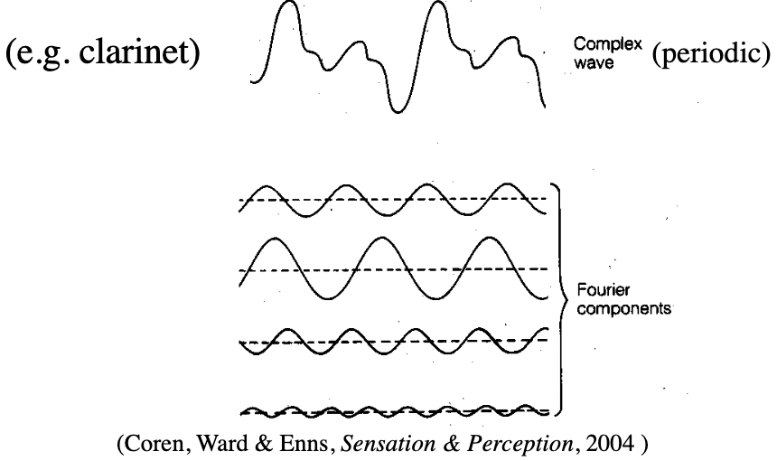 <p>most sounds we hear - set of sine waves (according to Fourier’s theorem)</p>