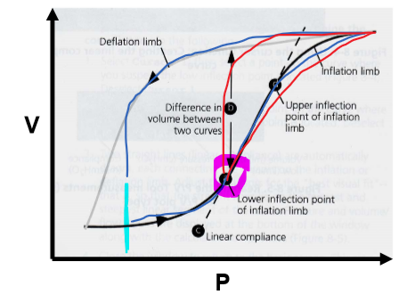 @ P of LIP --> point of highest compliance (steepest slope on PV curve)
- keeps pt in higher C state --> don't have to re-recruit alveoli each breath
- wanna keep pt in high C part of curve