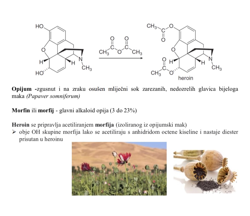 <p>Acetiliranjem morfija</p><ul><li><p>obje OH skupine morfija lako se acetiliraju a anhidridom octene kiselinei nastaje diester prisutan u heroinu</p></li></ul><p></p>
