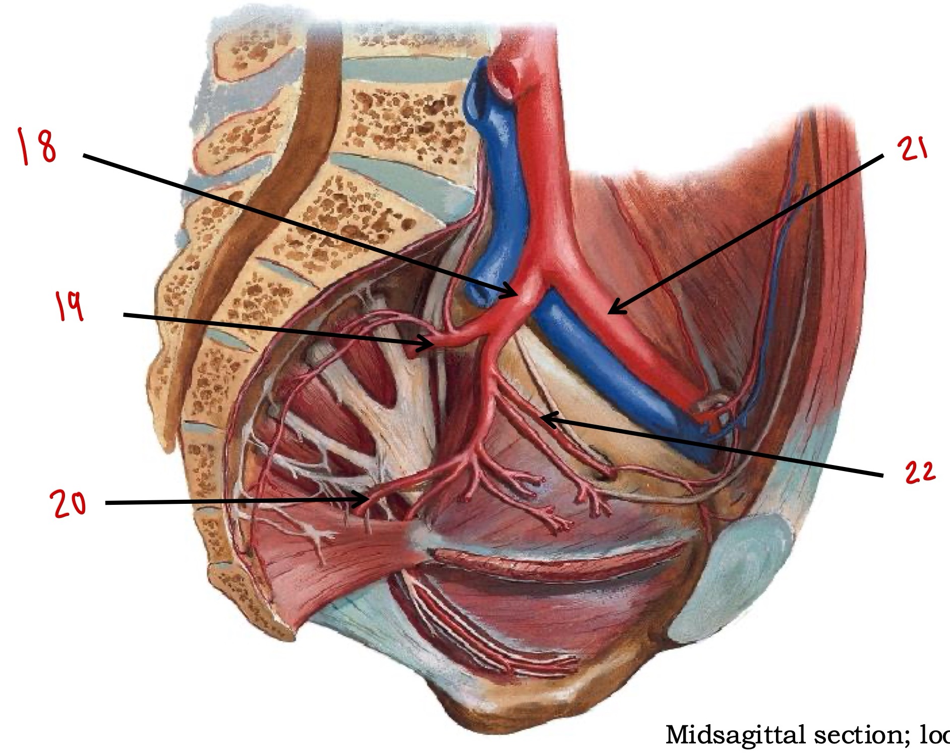 <p>18</p>