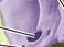<p>What is the name of this bone in the skull?</p>