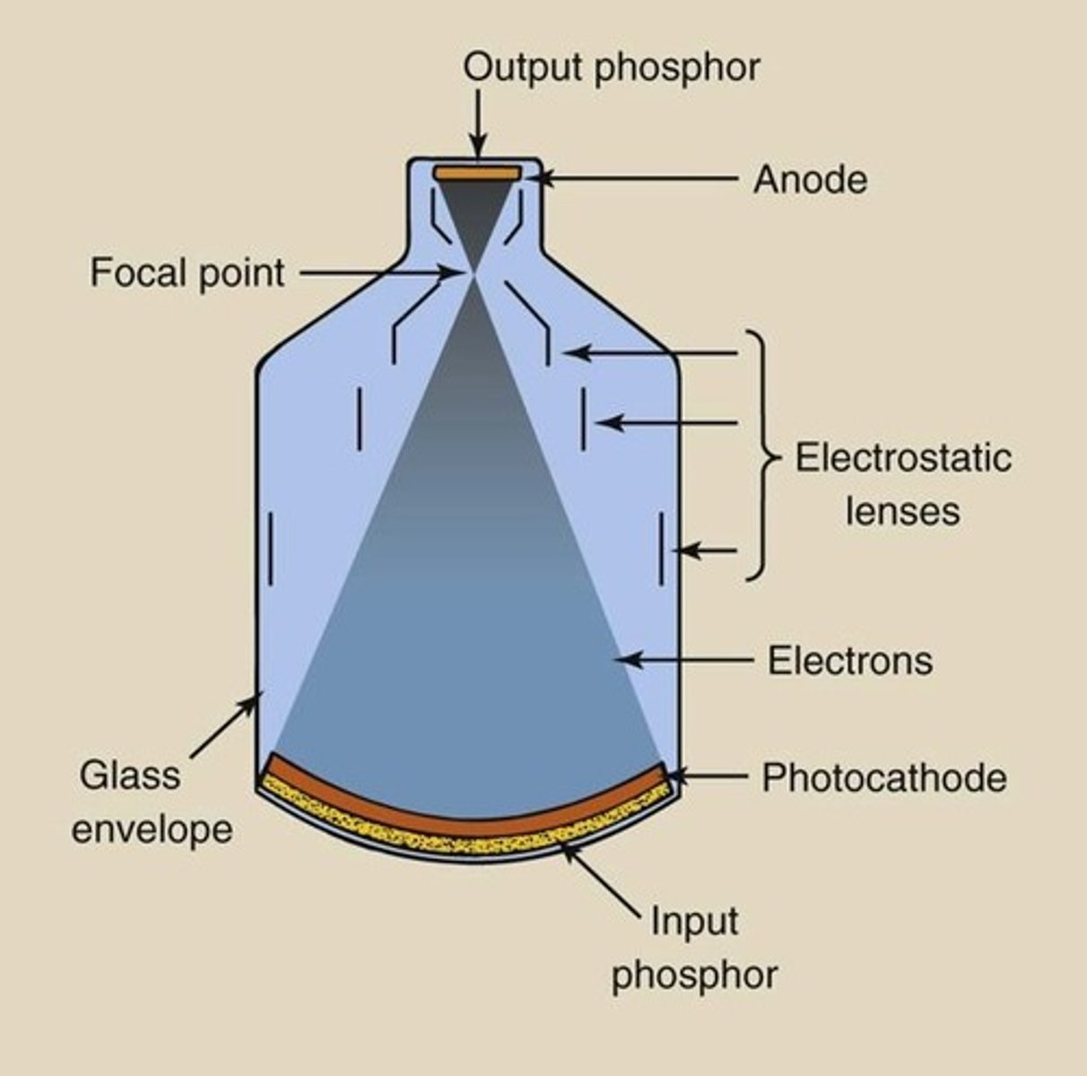 <p>Composed of zinc cadmium sulfide.</p>