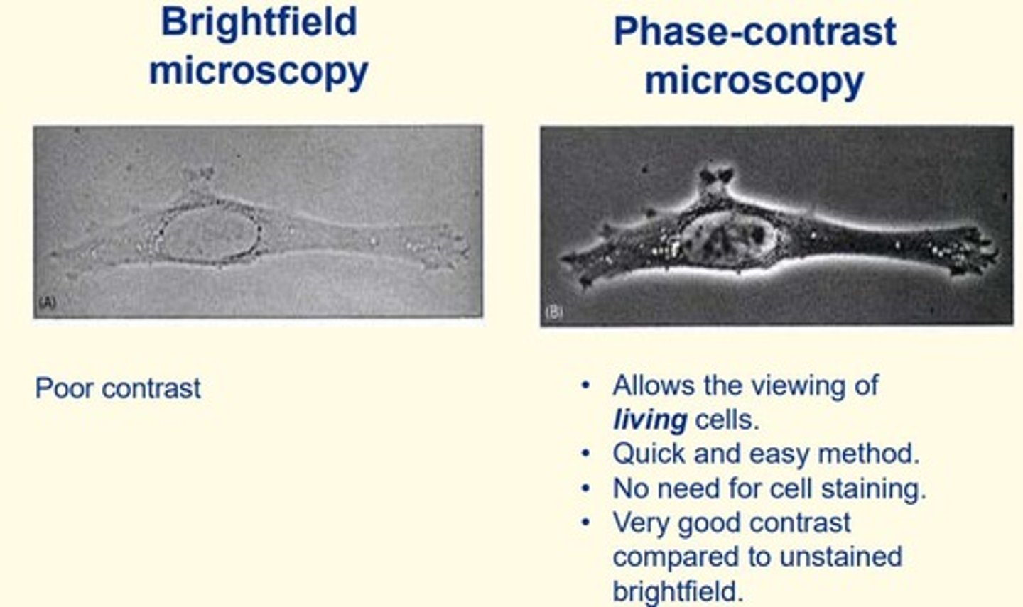 <p>- Allows examination of living cells</p><p>- Quick and easy method</p><p>- No need for cell staining (cells unstained)</p><p>- Very good contrast compared to unstained brightfield microscopy</p>