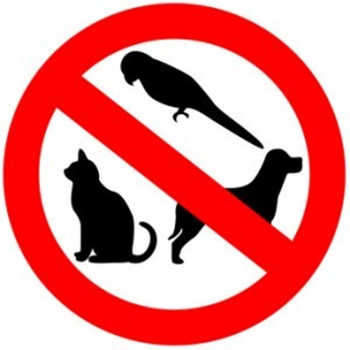 <p>no pets</p>